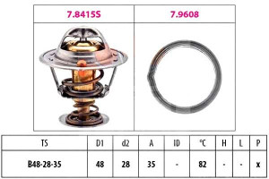Termostat Hyundai Atos Facet