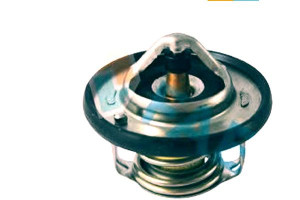 Termostat Fae 255002b000 2550038400 21200ed000 A
