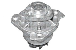 Pompa Wody Vw Seat Dolz