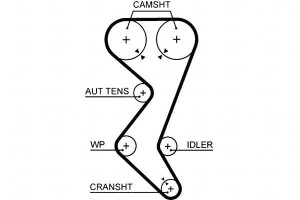 Pasek Rozrządu Citroen C4 C4 I C5 C5 I C5 Ii C8 Ev