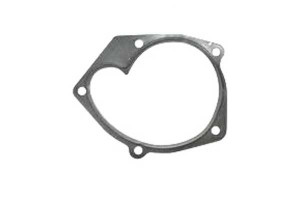 Pompa Wody Renault Clio Iii 1,5dci 05- Graf