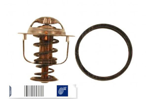Termostat Renault Blue Print
