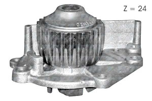 Pompa Wody Rover Dolz