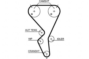Pasek Rozrządu Citroen C2 C3 I C4 C4 I Peugeot 100