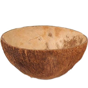 Kokos Łupina Kokosowa Miseczka Z Włosem Grota Ryb