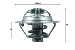 Termostat Dacia Nissan Renault Behr