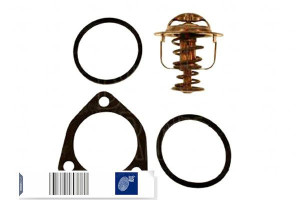 Termostat Blue Print