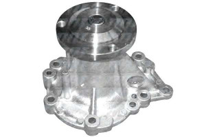 Pompa Wody Renault Dolz