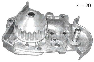 Pompa Wody Renault Dolz