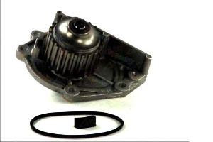 Pompa Wody Land Rover Freelander Mg Mg Tf Mg Zr Mg