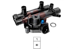 Termostat Facet 9112721 93183084 1106100qaj 110610