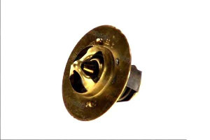 Termostat (82c) Daf Lf 45 Lf 55 Be110c-gr220 01.01