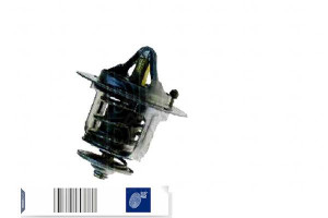 Termostat Blue Print