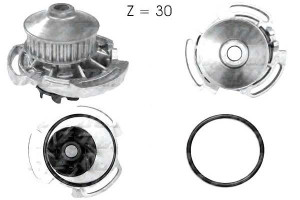 Pompa Wody Vw Seat Dolz