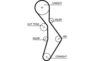 Pasek Rozrządu Audi A1 A3 A4 A6 Tt Seat Altea Alte