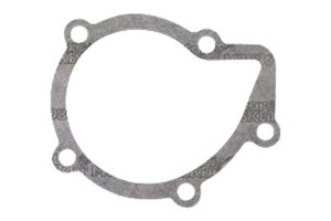 Pompa Wody Peugeot 2,0hdi Graf