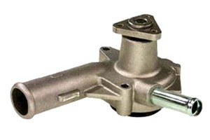 Pompa Wody Ford Hcs 1,1-1, Graf