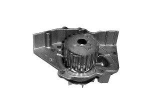 Pompa Wody Citroen Evasion Xantia Xm Xsara Zx Fiat