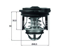 Termostat Ford Behr
