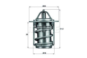 Termostat [behr]