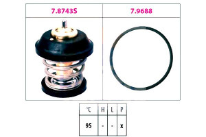 Termostat Vag Eps