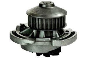 Pompa Wody Denckermann 030121004a 030121005lv 0301