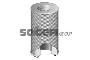 Filtr Powietrza Fiat Iveco Purflux