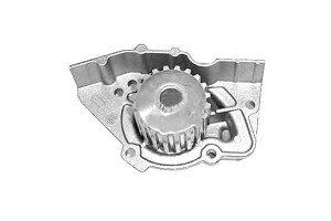 Pompa Wody Citroen Xantia Xsara Zx Peugeot 306 406