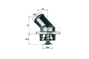 Termostat Daewoo Espero Behr