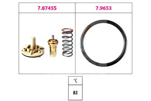 Termostat Audi Skoda Vw Eps