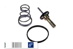 Termostat Suzuki Blue Print