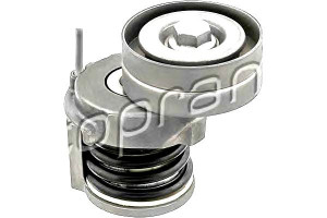 Napinacz Paska Wielorowkowego Audi A1 Seat Alhambr