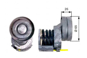 Napinacz Paska Wielorowkowego Audi A1 Seat Alhambr