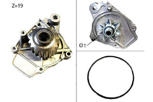 Pompa Wody Honda Rover Valeo