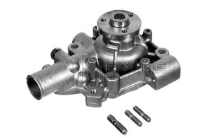 Pompa Wody Renault 2,5d Meyle