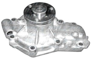 Pompa Wody Renault Dolz
