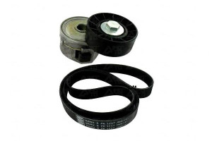 Zestaw Paska Wielorowk. Citroen 2,0hdi Fiat Ford S