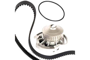 Zestaw Rozrządu Z Pompą Vw 1.4 91- Metelli