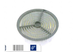 Filtr Powietrza Toyota Liteace 1.5 10.85-01.92 Blu