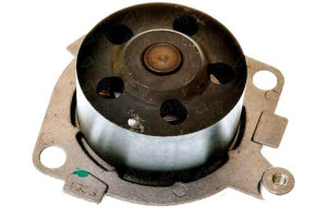 Pompa Wody Denckermann 60608898 Vkpc82451 1558 Pa5