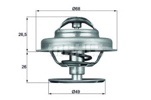 Termostat Peugeot Renualt Behr
