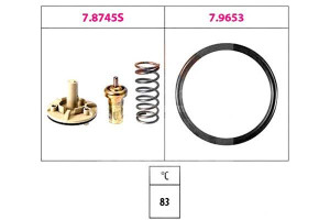 Termostat Facet 1880745 580745
