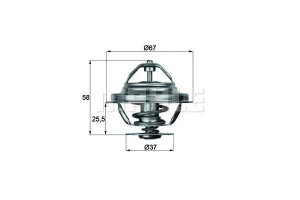 Termostat Bmw Behr