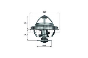 Termostat Bmw Behr
