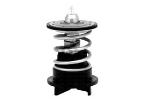 Termostat Vw 80c 2,0tdi 3,2fsi Q5 Q7 Superb Passat