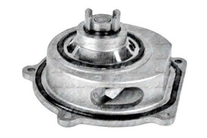 Pompa Wody Honda Rover Dolz