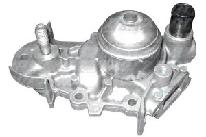 Pompa Wody Renault Dolz