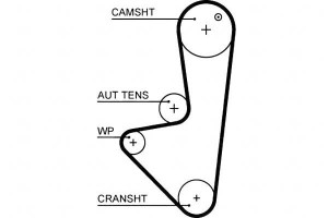 Pasek Rozrządu Citroen Berlingo C2 C3 I C3 Ii C3 P