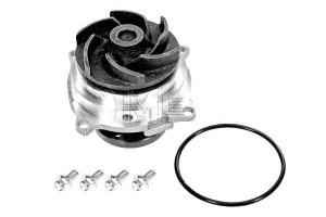 Pompa Wody Ford Zetec 1,8 Meyle