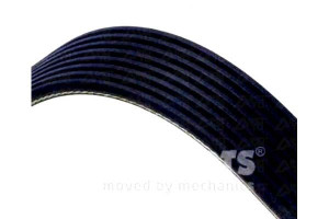 Pasek Klinowy Wielorowkowy Nipparts Ad08r1310